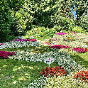 Mainau im August