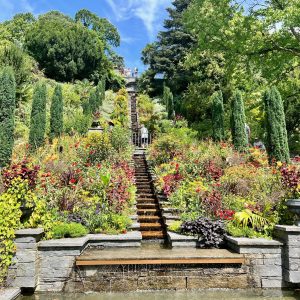 Mainau im August