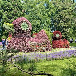 Mainau im August