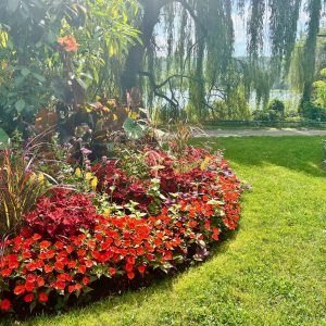 Mainau im August
