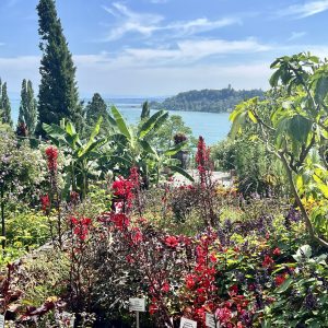 Mainau im August