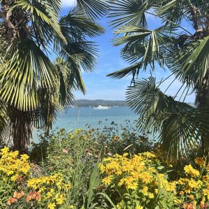 Mainau im August