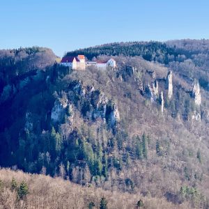 Blick auf Burg Wildenstein