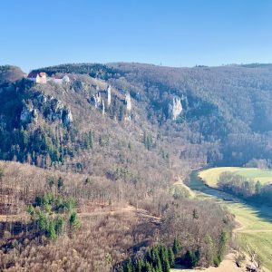 Blick auf Burg Wildenstein