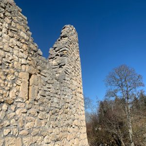 Ruine Falkenstein