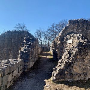 Ruine Falkenstein