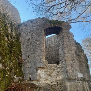 Ruine Falkenstein
