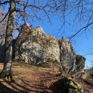 Ruine Falkenstein