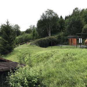 Sommerrodelbahn