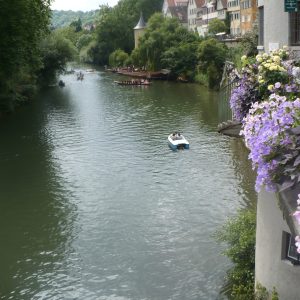 Neckar